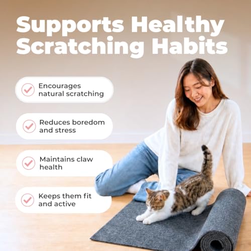 Image of Best Pet Supplies Catify Cat Scratcher, Fun Interactive Scratchers, Posts, Poles, Claw Safe, Furniture Saver Indoor Play Support Natural Cat Behaviors Heavy Duty - Gray Mat - L: 78 inch