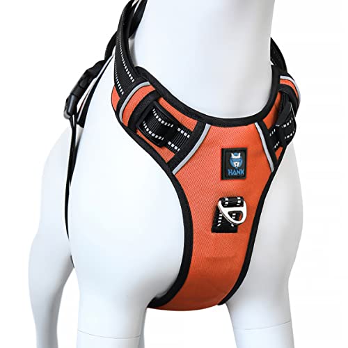 HANK Dog Harness | 4 Adjustable Buckles | Strong Metal Hook | 3M ...