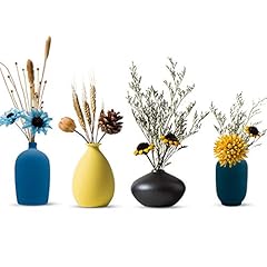 Dark Green-yellow-blue-black