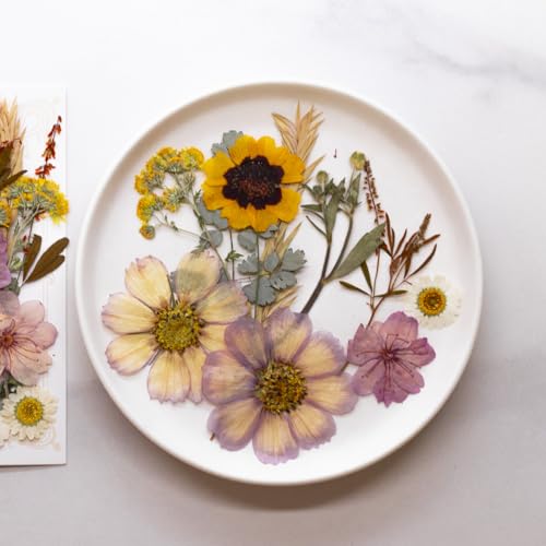 Flores Secas Prensadas Naturales para Manualidades 40 Piezas miniatura 4