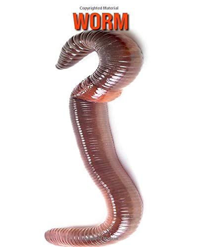 Worm: Beautiful Pictures & Interesting Facts Children Book About Worm