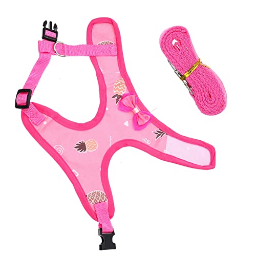 LIFKICH 1 Conjunto Colete De Frango Correa Para Conjunto De Animais Arreios Para Cães Pequenos Roupa