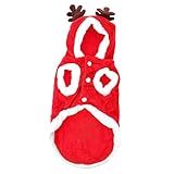 POPETPOP