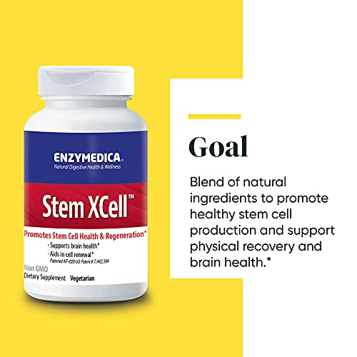 Enzymedica, Stem Xcell, Enzyme And Antioxidant Support For Brain And Cellular Health, 60 Capsules #TOP3