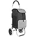 Inateck Trolley per la Spesa con Grande Capacità di Carico e Borsa di Isolamento Termico con Ruote, Portata Massima 45 kg, 41 l, Nero immagine