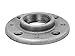 Anvil Floor Flange Galvanized 2 "