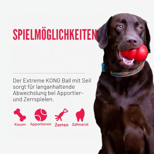 KONG Extreme Dental mit Seil, Für Mittelgroße Hunde