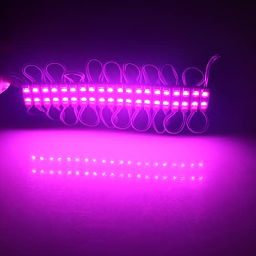 Image of Super Bright 200pcs 2835 2 LED Module Sign Lights Pink 80-90LM Per Module Waterproof Decorative Light for Letter Sign Advertising Signs with Tape Adhesive Backside (Pink)