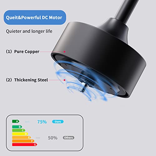 Raccroc Ceiling Fans With Lights,52In Ceiling Fan With Remote Control, With 22W Led Dimmable Lighting,6 Speeds Indoor Outdoor Ceiling Fan For Bedroom/Patios/Farmhouse/Living Room,Dc Motor(Black) #TOP2