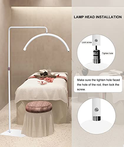 Ebrlaxin Lash Light For Eyelash Extensions - Led Lash Lamp For Tattoo Artists, Nail Tech, Esthetician - Cool, Warm Lighting Lamp With Adjustable Brightness & Height - With Phone Holder (White) #TOP3