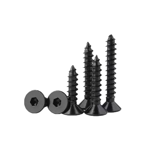 20-500  M2 .3 .6 M3 M4 M5 M6 MZpZt^bsOM؃lW(40mm,M5 (50PCS))
