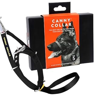 Canny Collar – Collare a Cavezza Addestramento Cane | Collare Anti‑Tiro Gentile e Sicuro | Camminate Piacevoli Senza Stress – Nero, Taglia 5