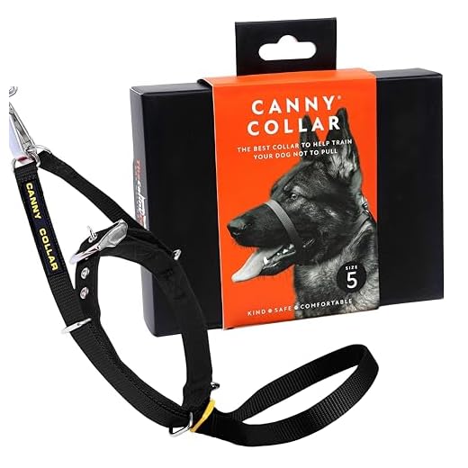 Canny Collar – Anti-Trek Hoofdhalsband voor Honden | Trainingshulpmiddel tegen Trekken aan de Lijn | Zacht, Veilig en Zonder Wurging voor Rustige Wandelingen – Zwart, Maat 5