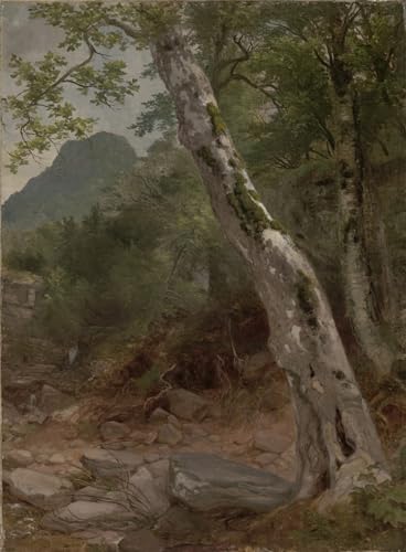 Toile vintage Asher Brown Durand pour sublimer le salon avec un paysage de sycomore 60x90cm
