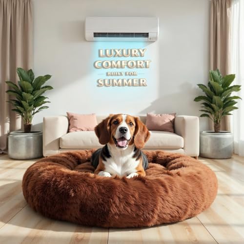WOW DOG Calming Medium - View 5