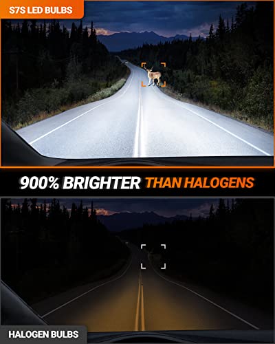 Image of SEALIGHT 9008 /H13 Fog Lamps 80,000LM for ATVs & Powersports, 2026 Version, 9xBrightness S7S Series Wireless H13 Fog Bulbs 1:1 Real Size 10 Years Lifespan- Pack of 2