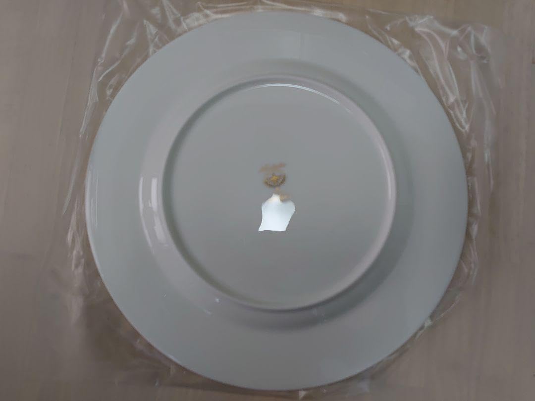 ノリタケ ハナリンス 27cmディナープレート 6枚 ノリタケ ハナリンス 6