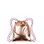 Gold / Pink