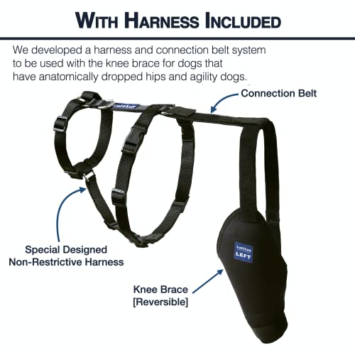 Image of Dog Knee Brace with Harness and Connection Belt, Lightweight and Stretchable, Support for Torn ACL Hind Leg, Luxating Patella, Reduces Arthritis Pain and Inflammation (X-Small)