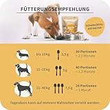 Bio Darmpulver für Hunde – CURAPET – mit Probiotika & Präbiotika zur Unterstützung Einer ausgewogenen Verdauung und Darmflora – 200 g (bis zu 80 Portionen)