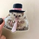 50PCS Transparent Cute Animal Stickers, Funny Cat and Dog Stickers for Kids Teens Adults, Funny Meme Water Bottle Sticker for Journaling Scrapbook Laptop Phone Luggage