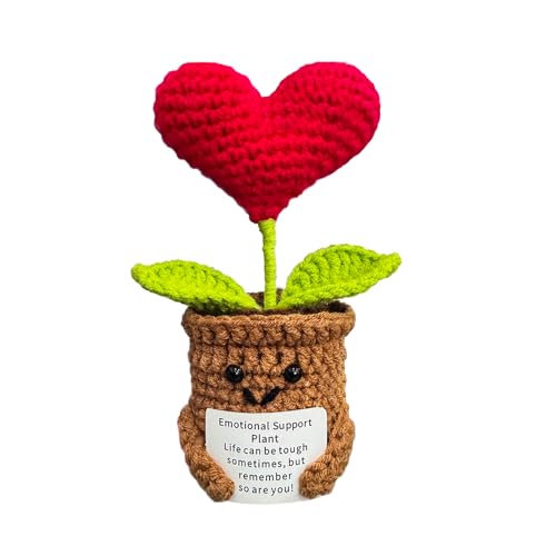 KIAYOO Regalo de Corazón, Decoraciones de Escritorio para el Hogar y la Oficina, Positive Flores de Ganchillo Regalo para Él Ella Hombres Mujeres Amigos Novio Cumpleaños Navidad San Valentín