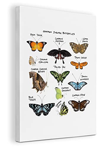 Image of Common Indian Butterflies Vintage Butterfly Canvas Wall Art Prints Artwork Signs Framed for Home Living Room Office Classroom Bedroom Playroom Decor,11 X 14 inch,Gift for Butterfly Lovers Girls Women