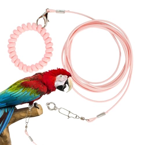 Samuliy Cuerda de entrenamiento para loros | Cuerda de vuelo desmontable para mascotas para loros, juguete de entrenamiento antimordeduras para mascotas con anillo de tobillo para pájaros, para salir,