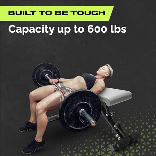 Rage Fitness Weight Bench Review