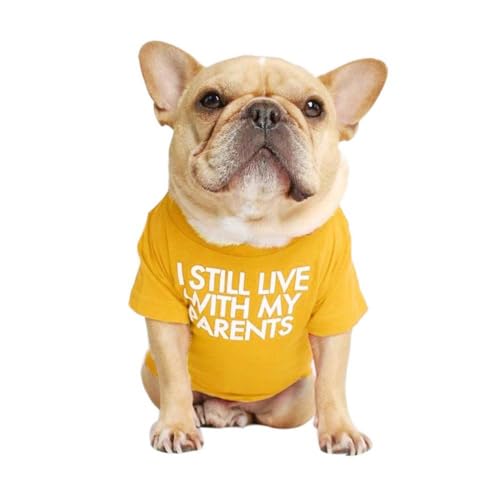 French Bulldog Dog Shirt for Pet Clothes Puppy T-Shirts Cat Tee Breathable Stretchy Costumes Medium Yellow