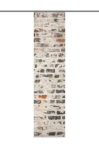 Home Fashion 87269-703 Weston - Panel japonés, 245 x 60 cm, diseño de Seda con impresión Digital, Color Gris