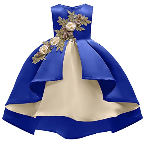 Girls Dresses Children's Dress Clothing Girls' Vest Dress Princess Dress Performance Dress Embroidered Dress