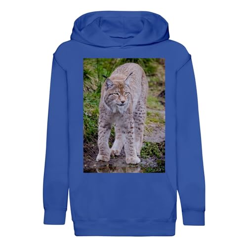Sweat à capuche enfant Lynx idéal pour les balades en forêt et l'école