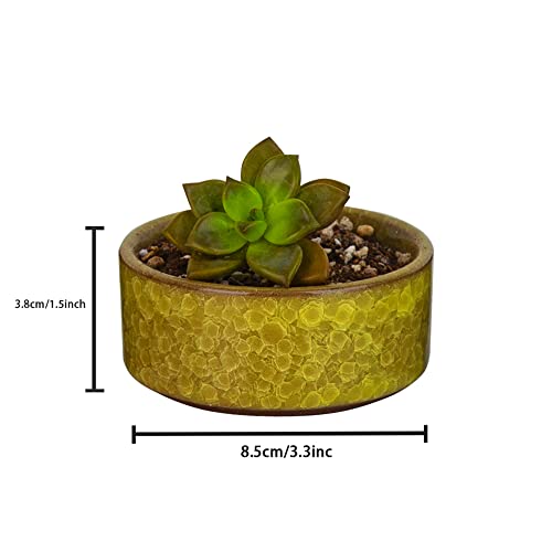 Dawnlam Inches Ceramic Ice Crack Small Cute Succulent Plant Pots,Cactus Plant Pot,Flower Planter Pot With Drainage For Home And Kitchen Decoration (3.5Inch) #TOP6