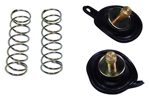 RW 0104-030 Carburetor Air Cut Off Valve Rebuild Repair Parts Kit Compatible with Suzuki 87-88 VS1400 Intruder