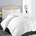 Queen/Full Soft Goose Down Alternative Quilted Comforter Luxury Hotel Collection Reversible Duvet Insert with Corner Tab,Warm Fluffy Hypoallergenic for All Season,White,88 by 88 Inches