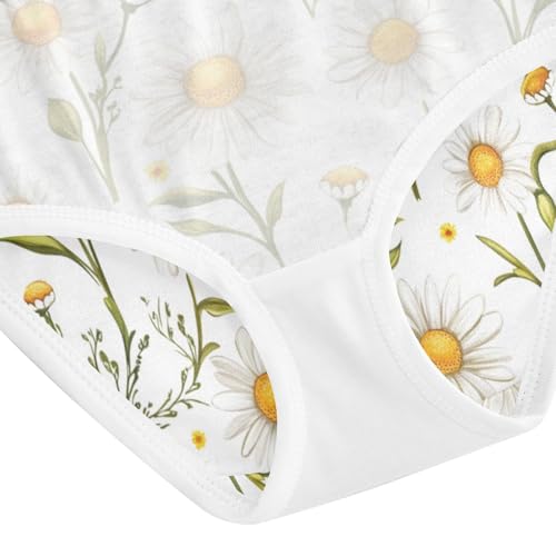 ZZKKO Summer Daisies Floral Girls Underwear Toddler Panties for Girls Comfort Brief Size 2-8T4