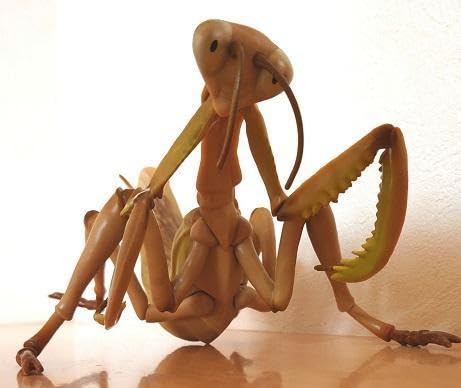 カマキリ　昆虫　フィギュア　BIG　大きい　オオカマキリ　2点 Amazon.co.jp: BIG カマキリ 昆虫 フィギュア オオカマキリ MEGA