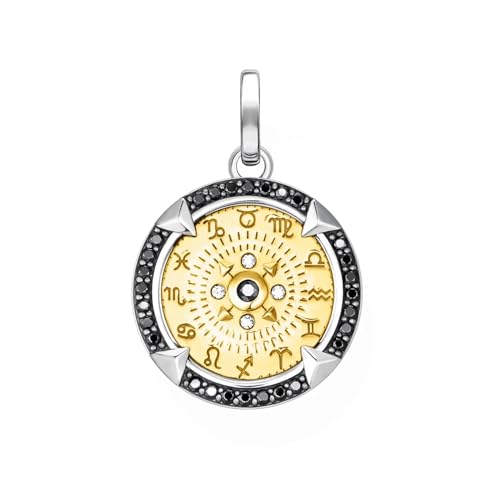 Pendentif en argent sterling 925 vintage et breloque zodiaque pour collier femme et homme