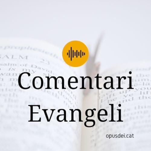 Comentari Evangeli Lc 2, 22-35
