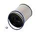 TP1015 Fuel Filter for 6.6L Duramax Diesel Compatible with 2017-2025 Chevy Silverado/GMC Sierra 2500HD 3500HD, 2014-2019 Chevy Cruze | Replaces# 23304096, 13539108, 23456595, with Seals (2 Pack)