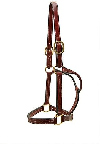 Dale Chavez Triple Stitched Halter Brass Hardware
