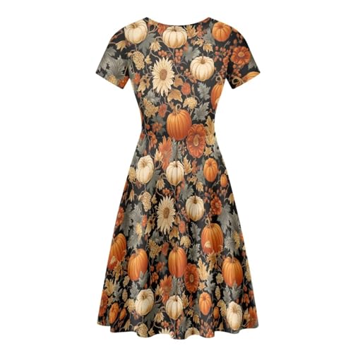 Image of Forchrinse Native Aztec Style Black White Geometric Women's Midi Dress Casual Long Dress Round Neck Swing Dress