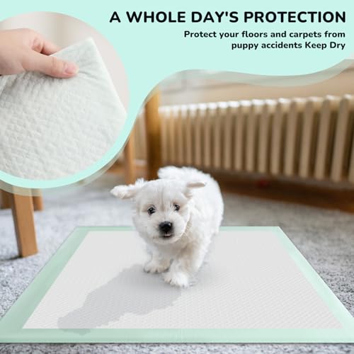 Image of Puppy Pee Pads 100PCS Disposable Pet Toilet Training Pads 18 inch x 13 inch for Dogs, Ultra Absorbent|Quick Dry|Leak-Proof Pet Potty Pads for Dog, Cat, Rabbits and Guinea Pigs (Green)