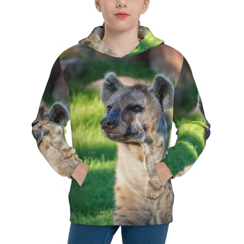 Hyena Pattern Boy, Girls Sports Shirt Youth Pullover Fashion Hooded Sweatshirt3