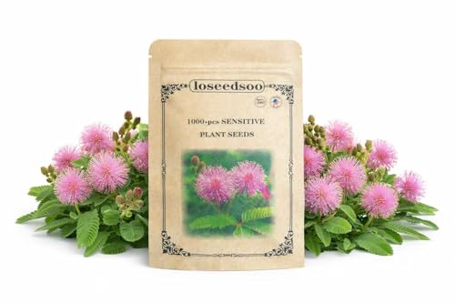 loseedsoo 1000+ Sensitive Plant Seeds for Planting Mimosa Pudica Touch Me Not Seeds Interactive Folding Leaves Flower Plant for Garden & Indoor Growing