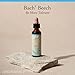 Bach Original Flower Remedies, Beech - Be More Tolerant - Natural Homeopathic Flower Essence for Emotional Balance - Vegan, Gluten Free, Sugar Free - 20mL Dropper