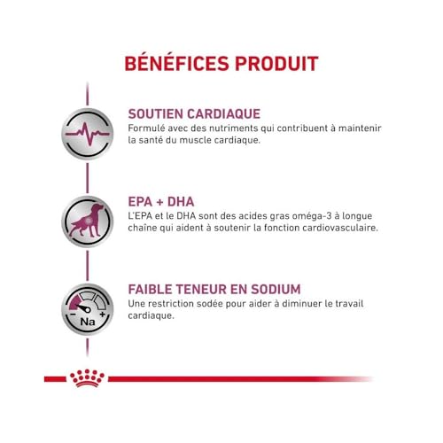 Royal Canin Cardiac | 2kg | Trockenfutter für Hunde | Kann zur Unterstützung der Herzfunktion beitragen | Enthält eine Kombination aus Nährstoffen wie Taurin und L-Carnitin