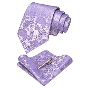 JEMYGINS Mens Solid Color Paisley Necktie and Pocket Square with Tie Clip Sets