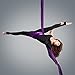 Aerial Silks Equipment for Acrobatic Flying Dance, Includes All Hardware, Fabric and Guide (Dark Purple)